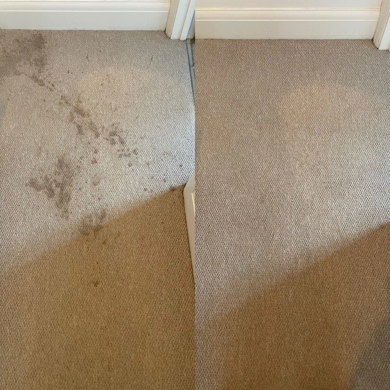 Carpet Stain Removal Before & After