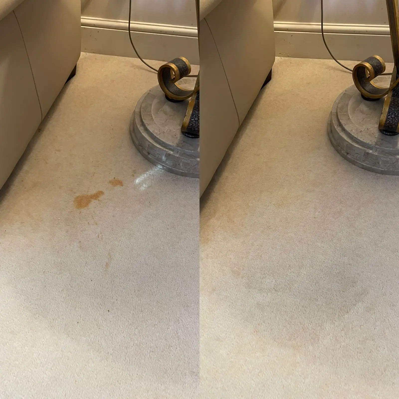Spot Clean Before & After