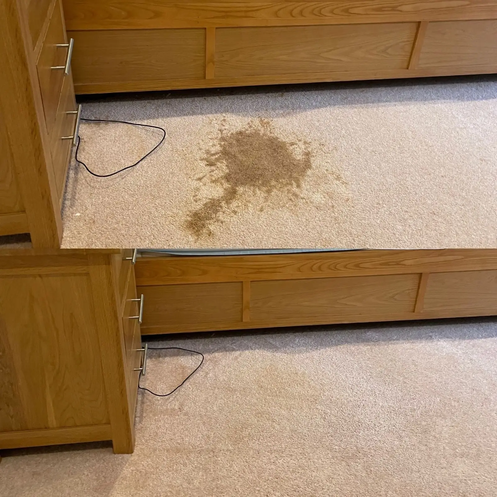 Carpet Stain Before & After