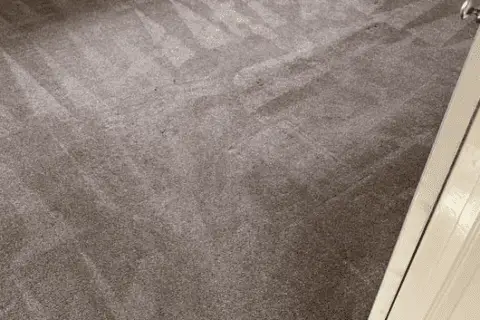 7 reasons regular carpet cleaning will benefit you