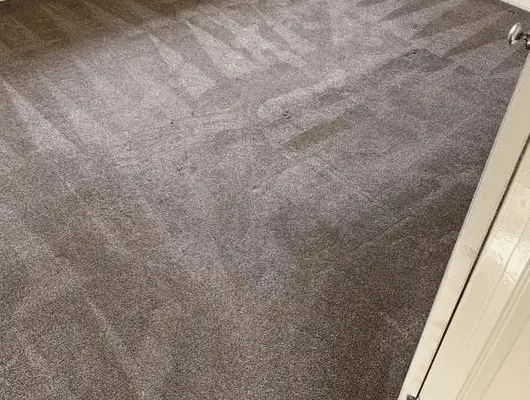 7 reasons regular carpet cleaning will benefit you