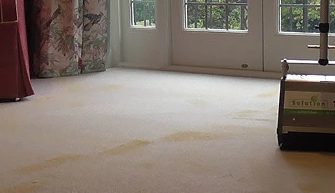 Dry Compound Carpet Cleaning