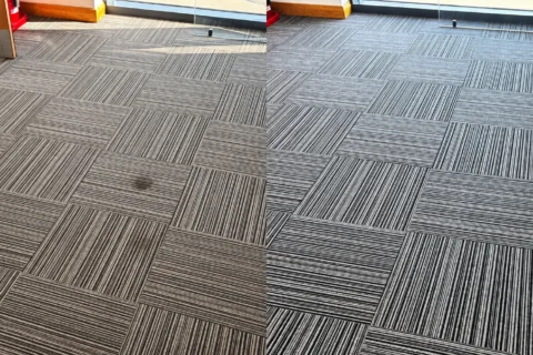 5 Benefits of Professional Commercial Carpet Cleaning