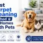 Best Carpet Cleaning Method for Homes With Pets