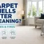 Why Does My Carpet Smell After Cleaning? Causes and Fixes
