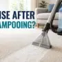 Do You Have to Rinse Carpet After Shampooing?