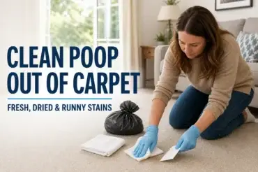 How to Clean Poop Out of Carpet Safely: Fresh, Dried and Runny Stains