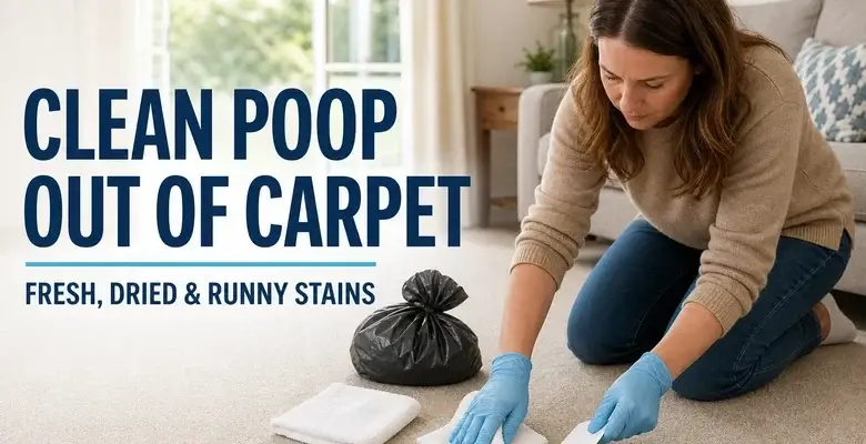 How to Clean Poop Out of Carpet Safely: Fresh, Dried and Runny Stains