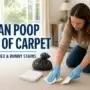 How to Clean Poop Out of Carpet Safely: Fresh, Dried and Runny Stains