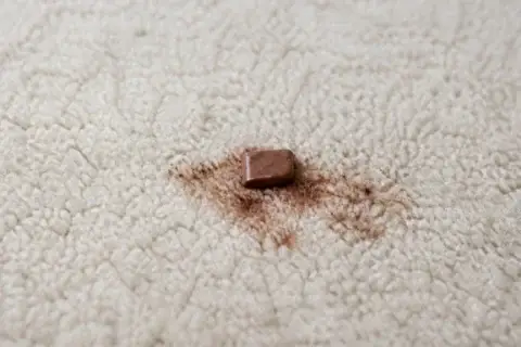 How to Clean Chocolate From Carpet: Fresh and Dried Stains