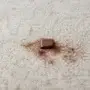 How to Clean Chocolate From Carpet: Fresh and Dried Stains