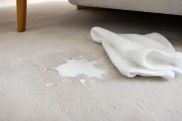 How to Clean Milk Out of Carpet: Fresh Spills and Sour Smells