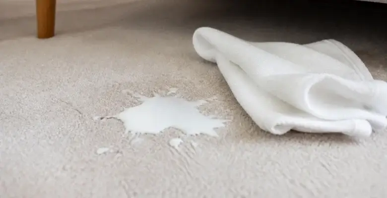 How to Clean Milk Out of Carpet: Fresh Spills and Sour Smells