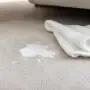 How to Clean Milk Out of Carpet: Fresh Spills and Sour Smells